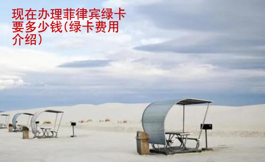 现在办理菲律宾绿卡要多少钱(绿卡费用<strong>介绍</strong>)