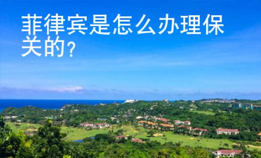 菲律宾是怎么<strong>办</strong>理保关的
