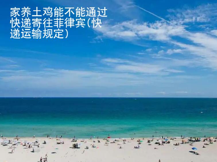 家养土鸡能<strong>不能</strong>通过快递寄往菲律宾(快递运输规定)
