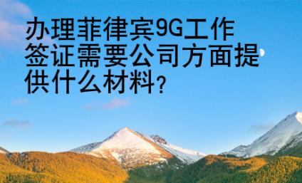 办理菲律宾9G工作签证需要公司方面提供什么材料