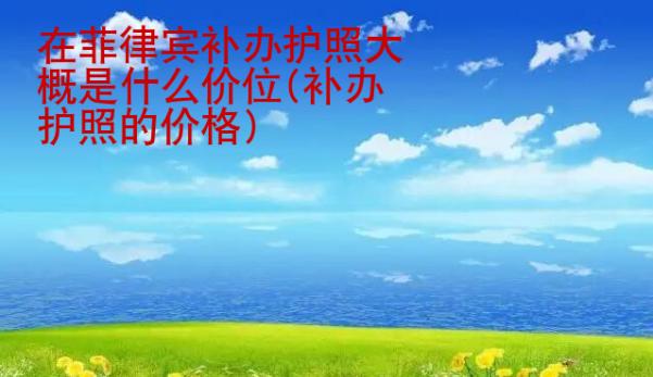 在<strong>菲律宾</strong>补办护照大概是什么价位(补办护照的价格)