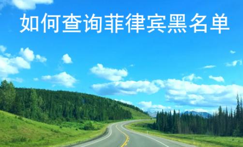 <strong>如何</strong>查询菲律宾黑名单