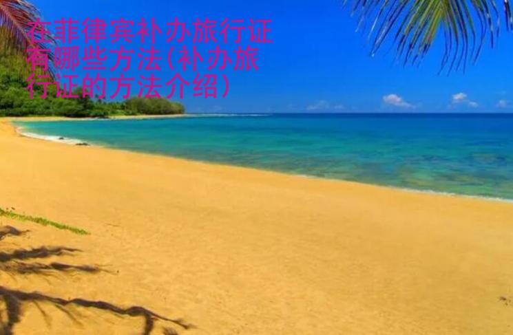 在菲律宾补办旅行证有哪些方法(补办旅行证的方法<strong>介绍</strong>)