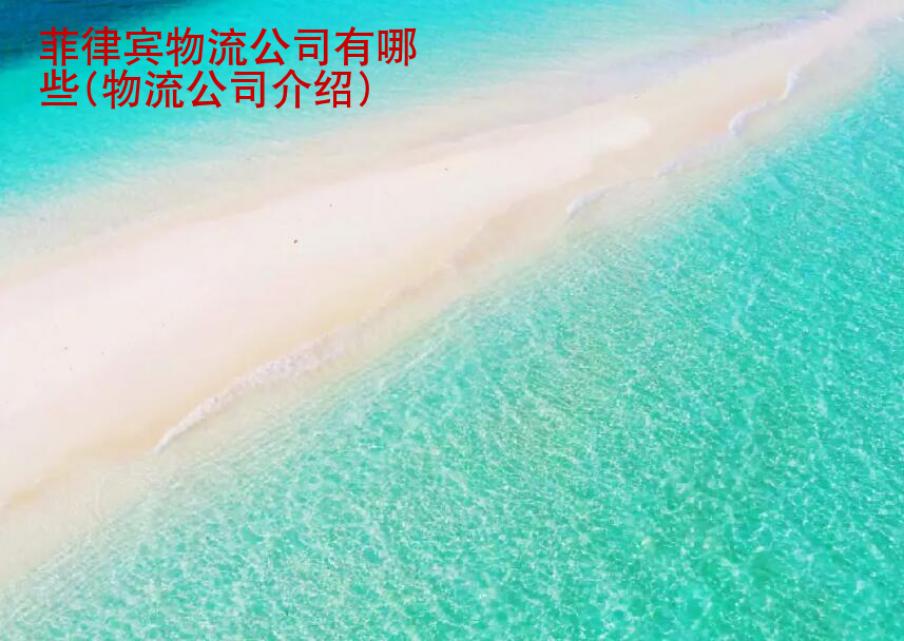 菲律宾物流公司有哪些(物流公司介绍)