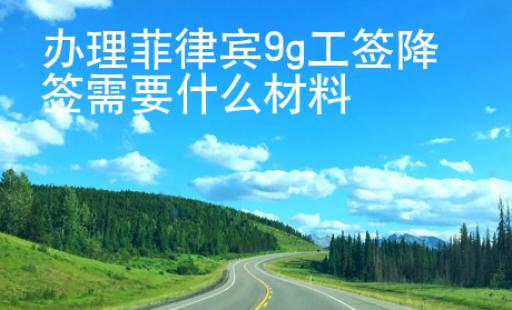 办理菲律宾9g工签降签需要什么<strong>材料</strong>