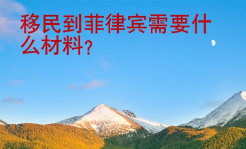 <strong>移民</strong>到菲律宾需要什么材料