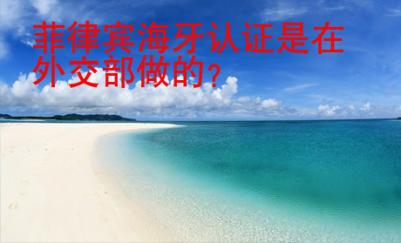 菲律宾<strong>海牙</strong>认证是在外交部做的