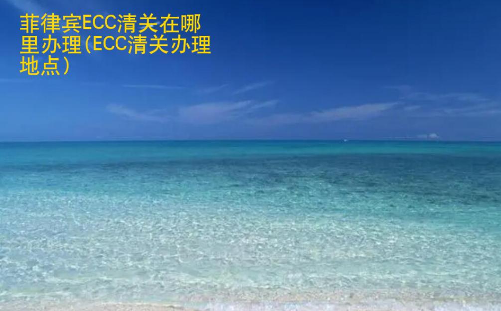 <strong>菲律宾</strong>ECC清关在哪里办理(ECC清关办理地点)