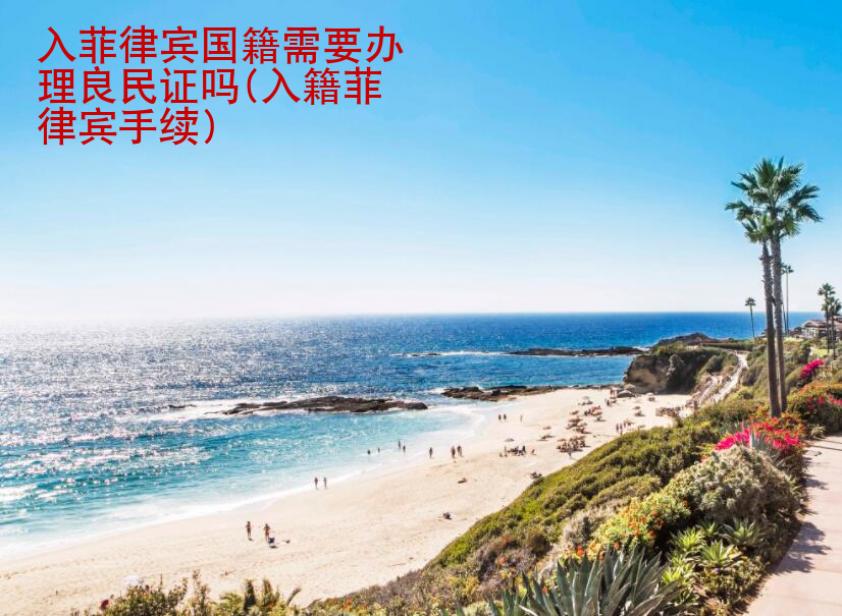 入菲律宾国籍需要<strong>办理</strong>良民证吗(入籍菲律宾手续)