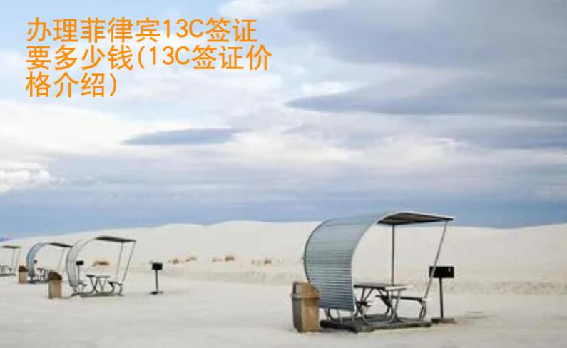 办理<strong>菲律宾</strong>13C签证要多少钱(13C签证价格介绍)