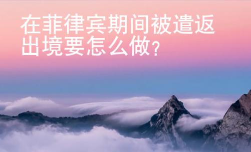 在菲律宾期间被遣返出境要怎么做？