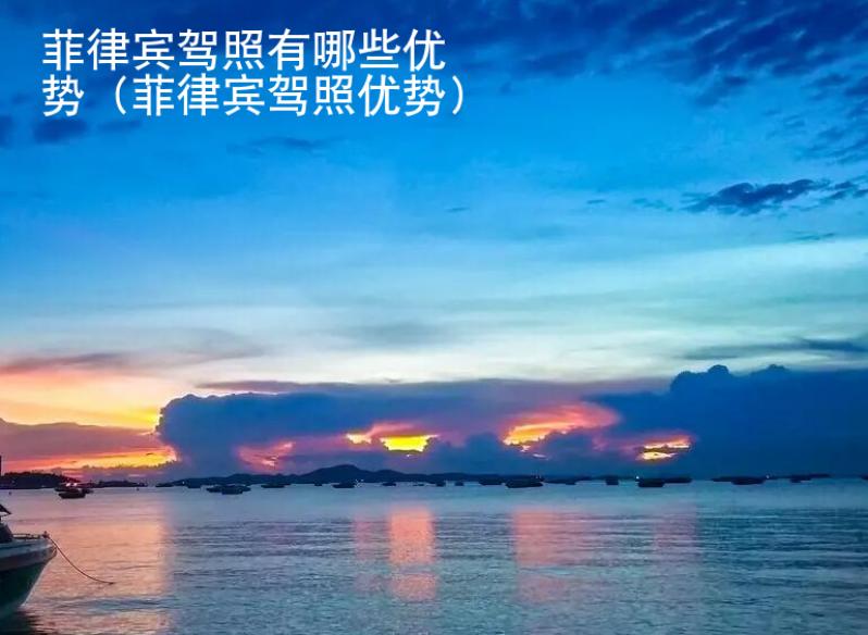 菲律宾驾照有<strong>哪些</strong>优势