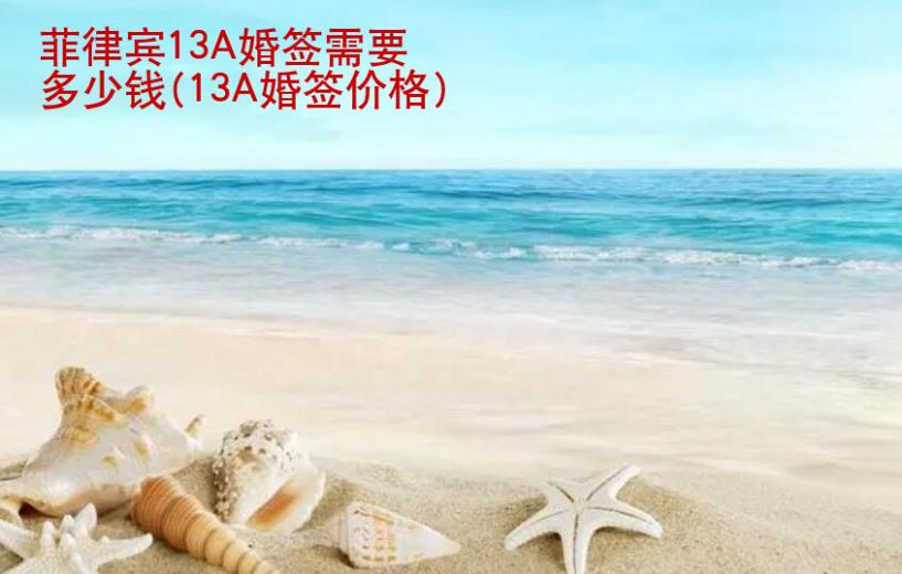 <strong>菲律宾</strong>13A婚签需要多少钱(13A婚签价格)
