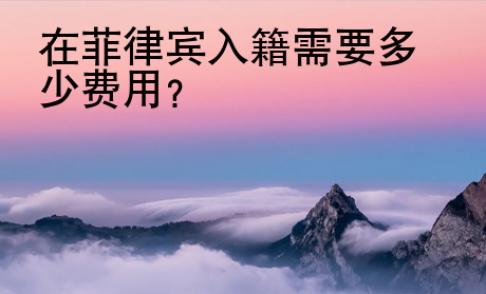 在菲律宾入籍需要多少<strong>费用</strong>