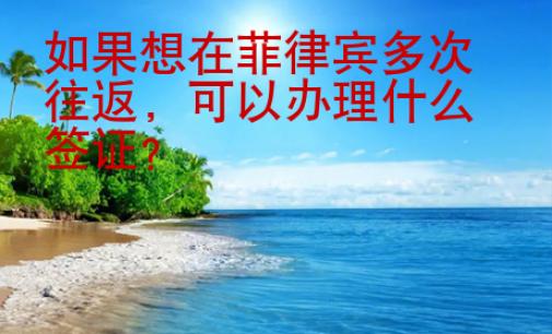 如果想在菲律宾多次<strong>往返</strong>