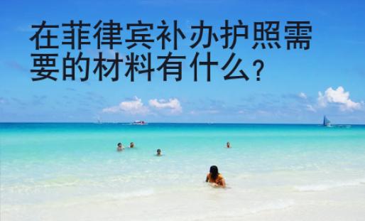 在菲律宾补办护照需要的材料有<strong>什么</strong>
