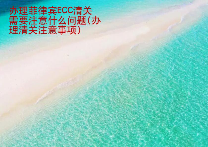 办理菲律宾ECC清关需要注意<strong>什么</strong>问题(办理清关注意事项)