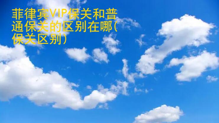 菲律宾VIP保关和普通保关的区别在哪(保关服务的区别)