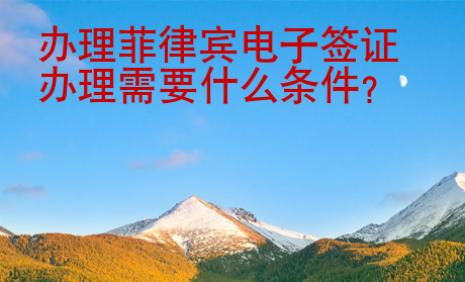 办理<strong>菲律宾</strong>电子签证办理需要什么条件