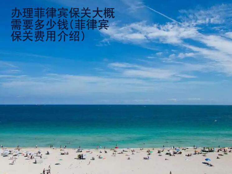 办理菲律宾<strong>保关</strong>大概需要多少钱(菲律宾保关费用介绍)