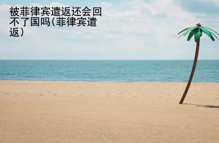 被<strong>菲律宾</strong>遣返还会回不了国吗(菲律宾遣返)