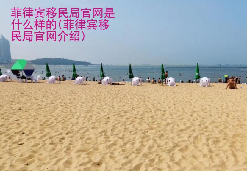 菲律宾<strong>移民</strong>局官网是什么样的(菲律宾移民局官网介绍)