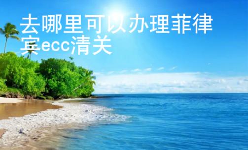 <strong></strong>去哪里可以办理菲律宾ecc清关