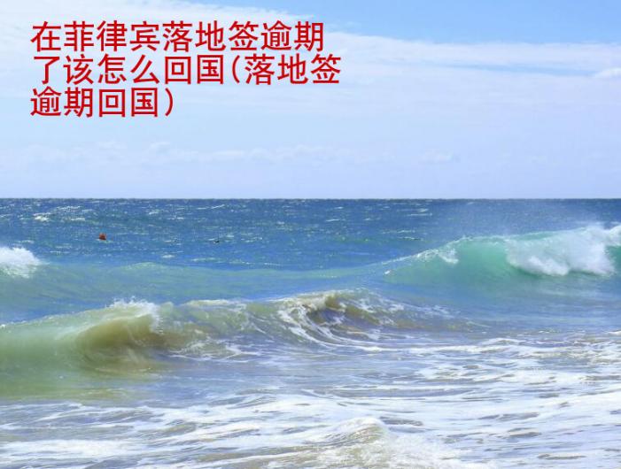 在<strong>菲律宾</strong>落地签逾期了该怎么回国(落地签逾期回国)