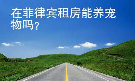 在菲律宾租房能养宠物吗