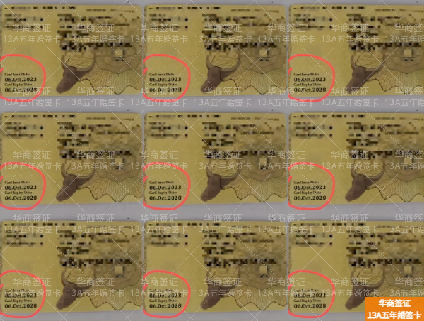 菲律宾萨马省申请13a签证中介哪里找(申请费用)