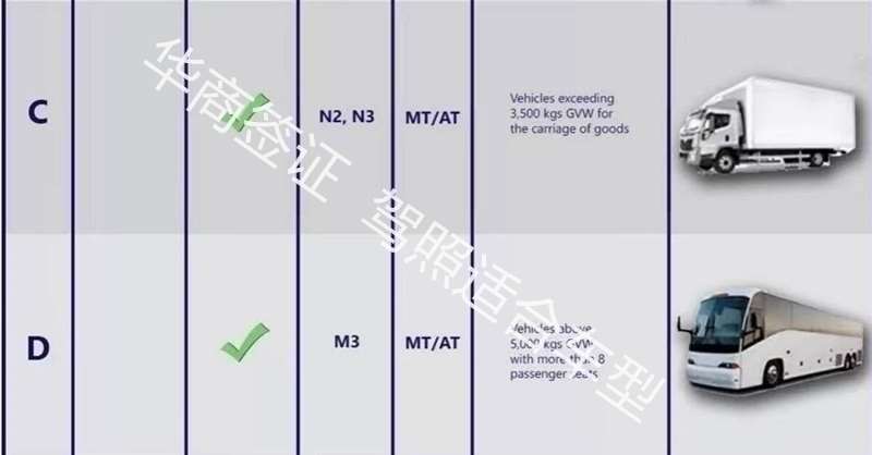 菲律宾驾照准驾车型有哪些菲律宾准驾车型讲解)